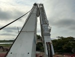 Spécialité - Grue with