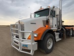 General Appearance with Paint
