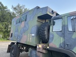 General Appearance with Paint