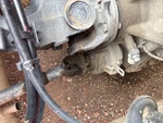 4 Underbody - Truck with