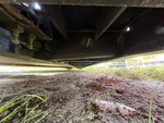 Trailer Chassis with Frame Rails/ Main Beams Condition
