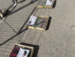 General Appearance with Bild, Ecke vorne links