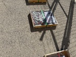 General Appearance with Bild, Ecke hinten links