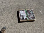 General Appearance with Bild, Ecke hinten links