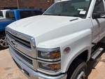 General Appearance with Pintura