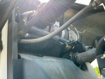 Engine with Exhaust System