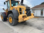 General Appearance with Paint