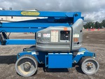 General Appearance with Paint