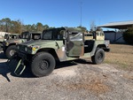 General Appearance with Paint