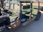 General Appearance with Paint