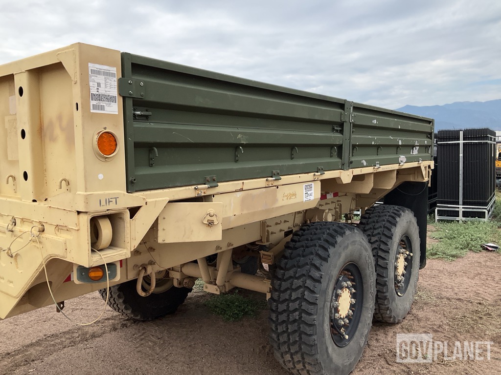 General Appearance with Paint