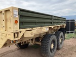 General Appearance with Paint