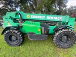 General Appearance with Paint