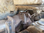 Engine with Exhaust System