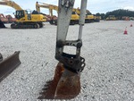 General Appearance with Paint