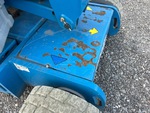 General Appearance with Paint