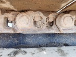 Undercarriage with Left Track Links