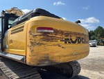 General Appearance with Paint