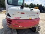 General Appearance with Paint