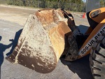 Specialty with