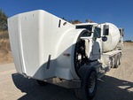 General Appearance with Paint