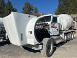 General Appearance with Paint