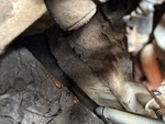 Engine with Oil Leaks