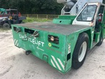 General Appearance with Paint