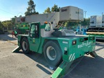 General Appearance with Paint