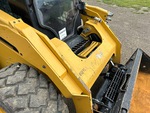 General Appearance with Paint