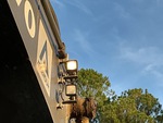 General Appearance with Exterior Lights