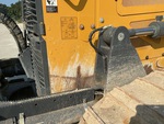 General Appearance with Paint