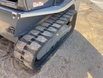 Undercarriage with Track Belt Condition