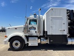 General Appearance with Paint