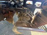 Engine with Exhaust System