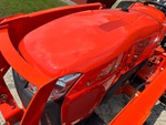 General Appearance with Paint