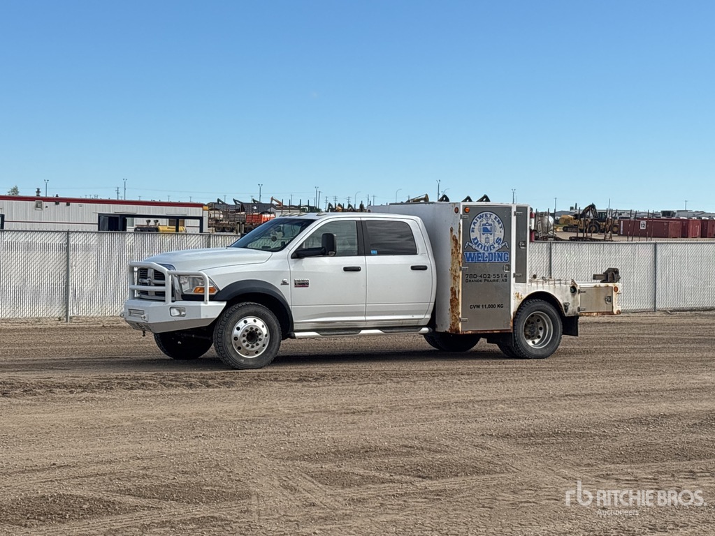 General Appearance with Spin