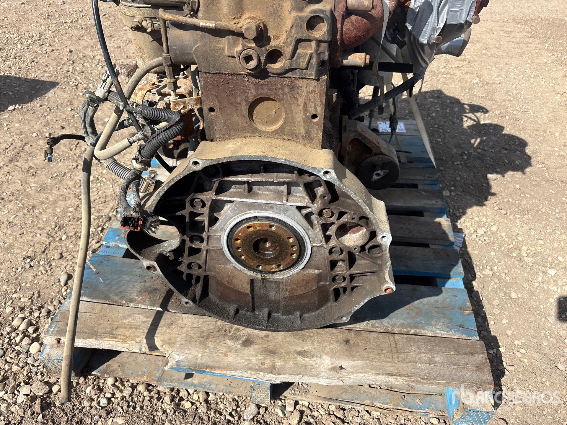 Cummins QUANTITY OF (2) 5.9 24 VALVE