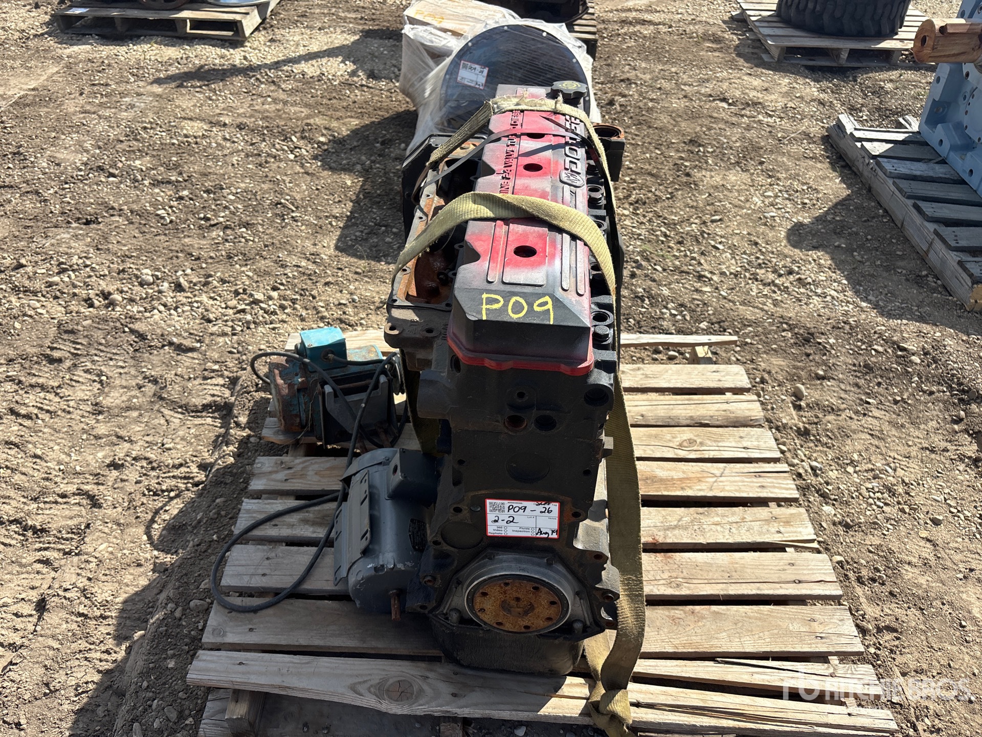 Cummins QUANTITY OF (2) 5.9 24 VALVE