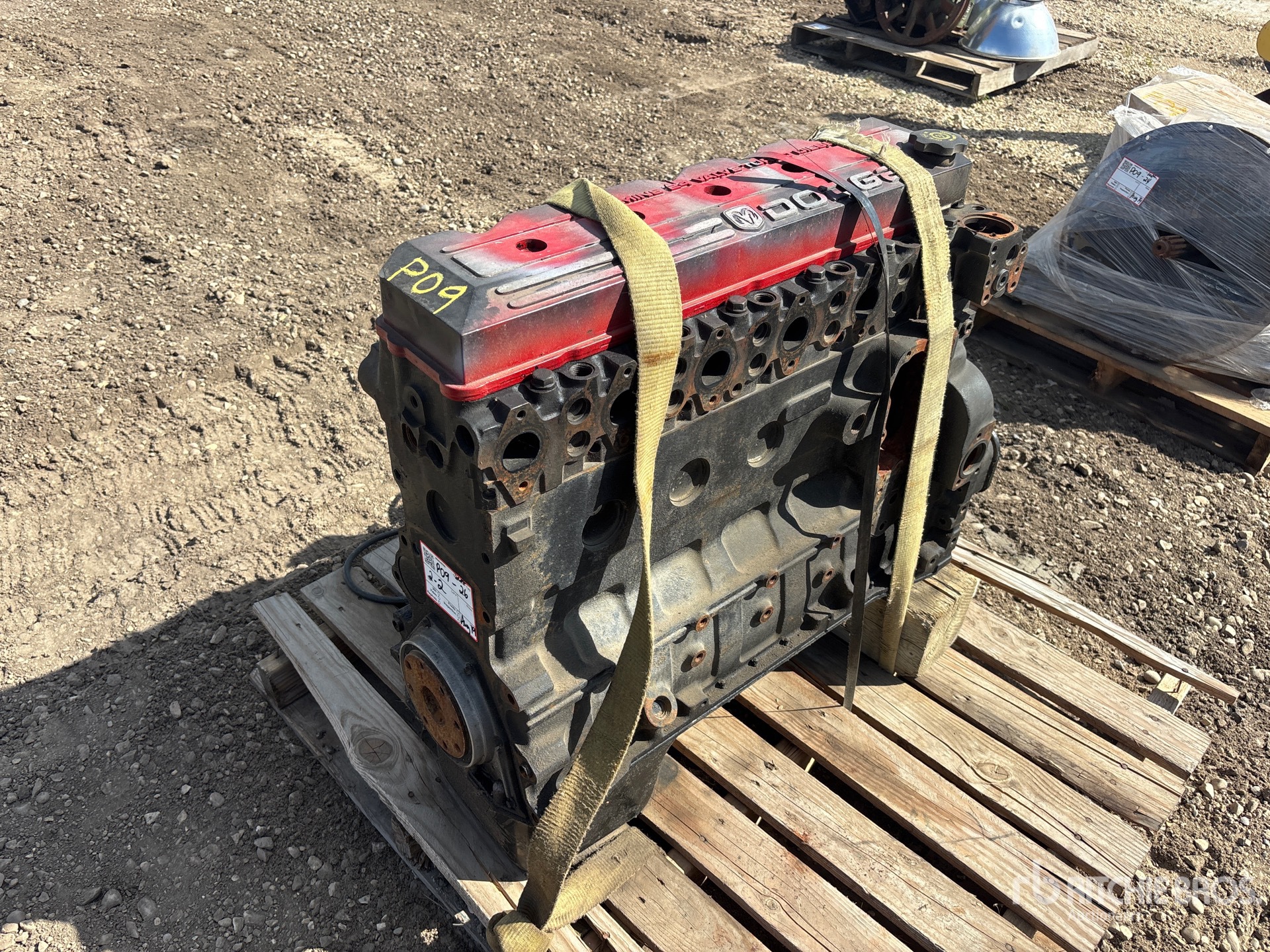 Cummins QUANTITY OF (2) 5.9 24 VALVE