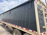 General Appearance with Paint