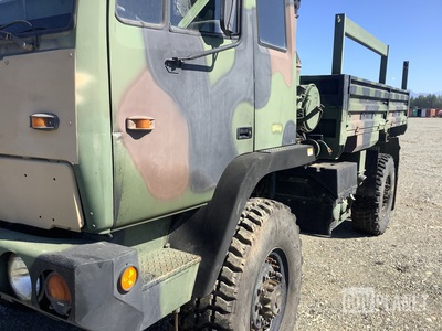General Appearance with Paint