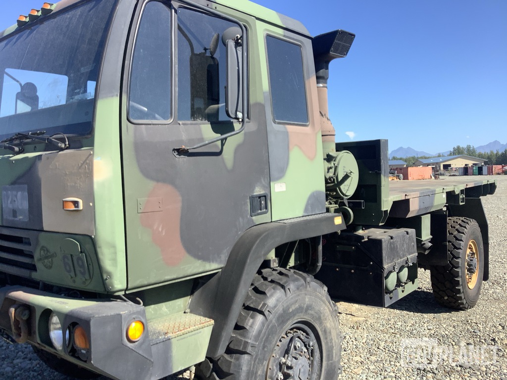 General Appearance with Paint