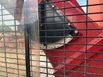 Crane Superstructure with Boom Angle Indicator