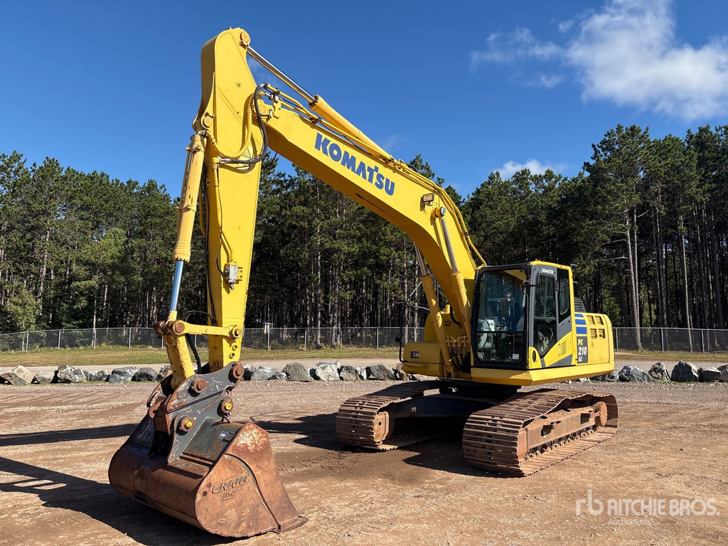 General Appearance with Spin
