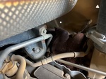 Engine with Exhaust System