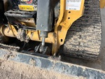 General Appearance with Paint