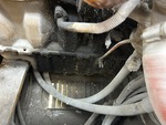 Engine with Oil Leaks