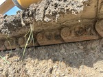 Undercarriage with Left Track Links