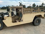 General Appearance with Paint